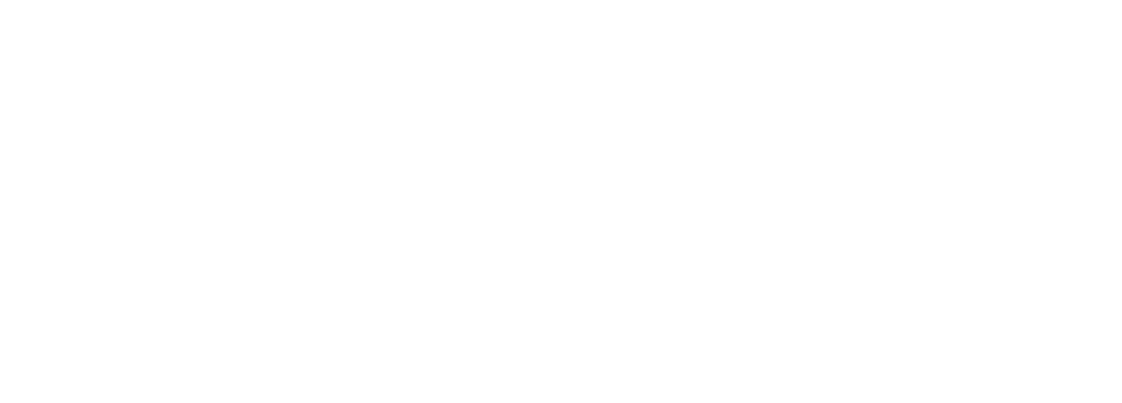 logo-imx